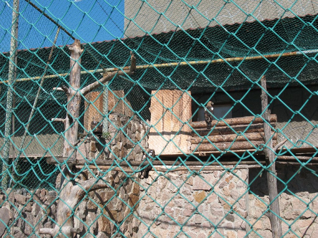 Челябинский зоопарк на улице Труда