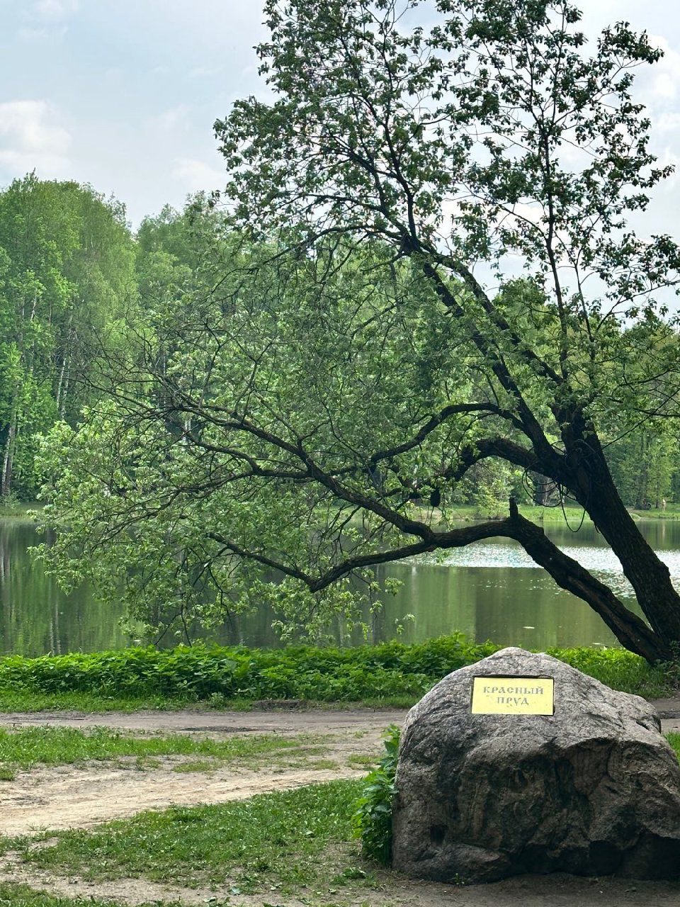 Красный пруд
