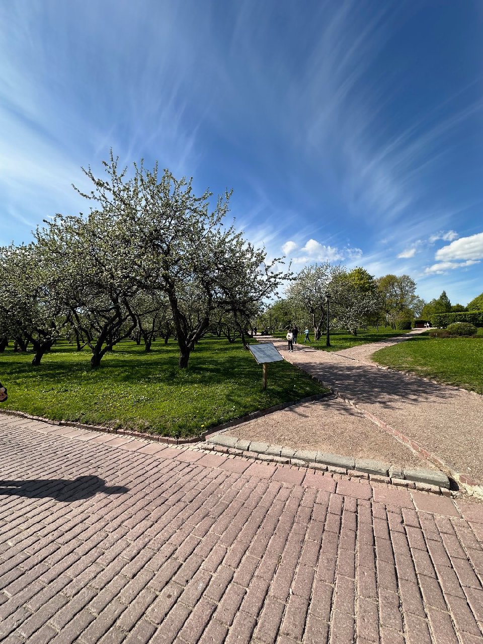 Маршрут по Москве — фото 5
