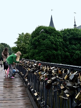 Медовый мост в Калининграде
