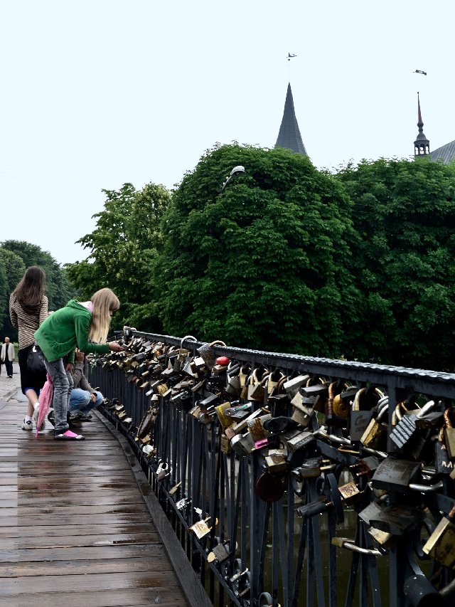 Медовый мост в Калининграде