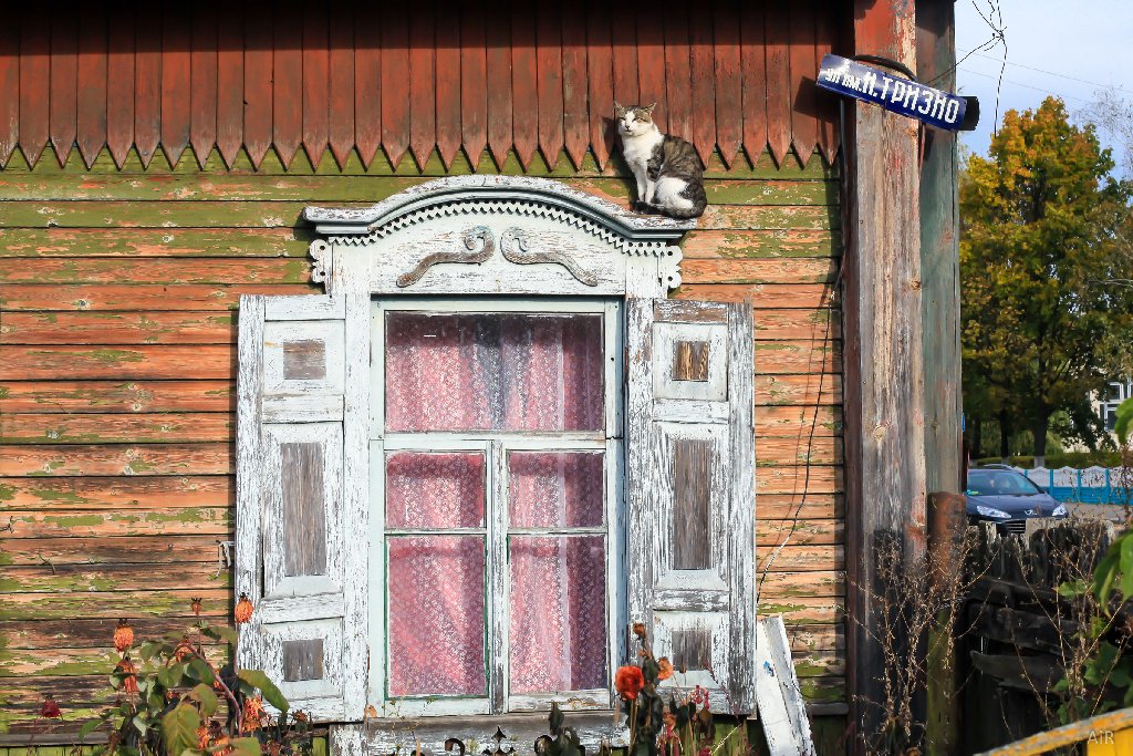 Полесский лес в Припятском национальном парке