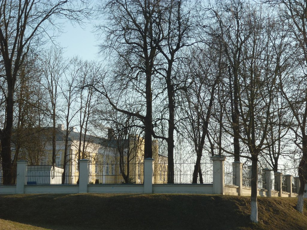 Дворец Потёмкина в Кричеве