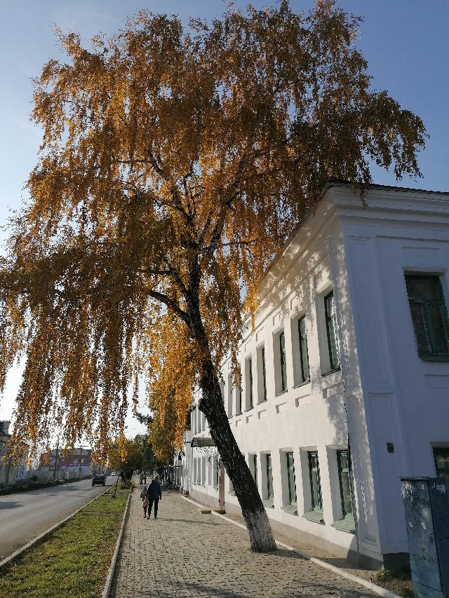 Исторические дома на улице Советской в Берёзе