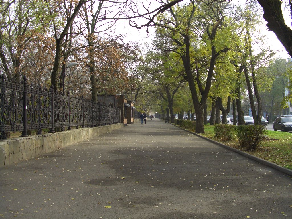 Улица Петровская в Таганроге