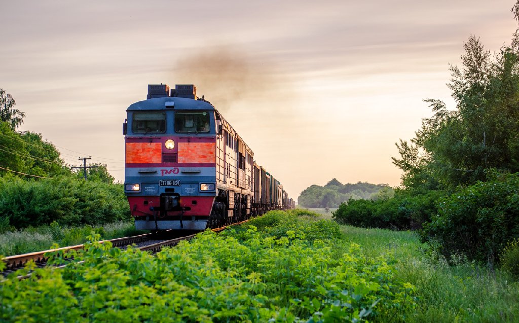 Городской парк Балашова